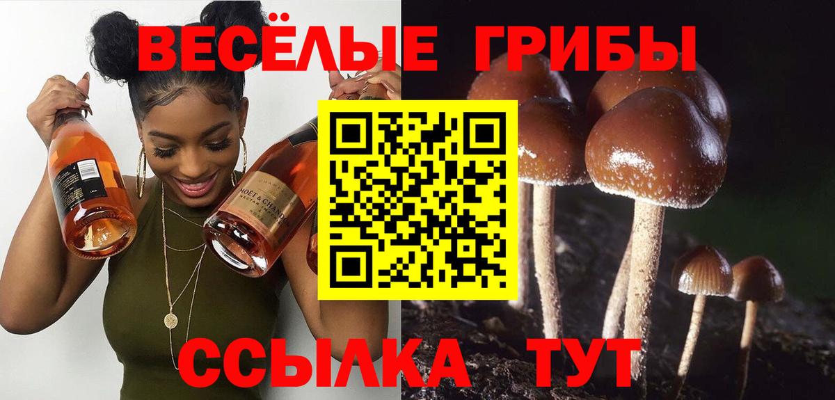 Псилоцибиновые грибы прущие грибы Анжеро-Судженск